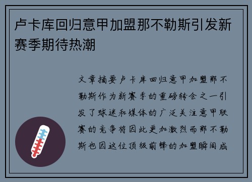 卢卡库回归意甲加盟那不勒斯引发新赛季期待热潮