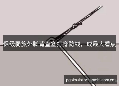 保级弱旅外脚背直塞打穿防线,成最大看点 保级弱旅外脚背直塞打穿防线,成最大看点